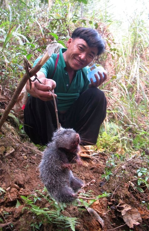 Một thợ săn đi kiểm tra bẫy, tóm được “món hời” tại Trạm Tấu, Yên Bái
